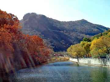 澳门二四六天天彩图库，丰田凯美瑞论坛